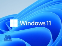 MS Windows 11 Home 64Bit DVD SB