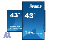 iiyama ProLite LH4365UHSB-B1 43