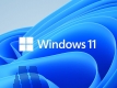 MS Windows 11 Professional 64Bit DVD SB