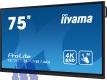 iiyama ProLite TE7512MIS 75