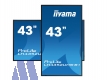 iiyama ProLite LH4352UHS-B1++B-Ware++43